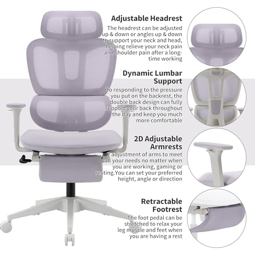 Ergonomic Office Chair with Footrest, 90-135° Reclining High Back Desk Chair with Lumbar Support, 2D Headrest, 2D Armrests, Computer Chair for Long Hours, Purple - color: Purple