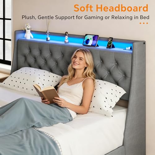 SADENICEL Queen Bed Frame with 2 Storage Drawer, Queen Size Bed Frame, Grey | Headboard with Charging Station and LED Lights, Metal Platform Bed with Storage Shelf, Noise Free, No Box Spring Needed - size: Queen, style: 2 Storage Drawer