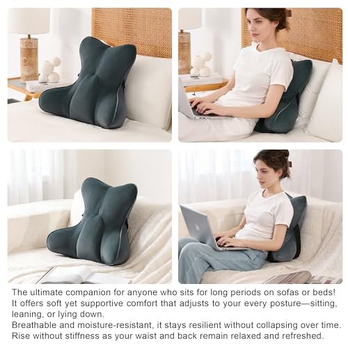 Lumbar Support Pillow(Pat. Pend) for Lower Back Pain Relief – Multi-Functional Ergonomic Lumbar Cushion, Reading Pillow for Office Chair, Car Seat & Sofa,Charcoal Gray - color: Charcoal Gray