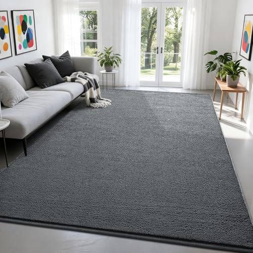 Nuttumico 4x6 Feet Area Rugs for Bedroom Living Room, Modern Soft Dark Grey Rug, Thickened Memory-Foam Indoor Carpet, Minimalist Carpets for Boys Girls, Non-Slip and Machine-Washable - color: Dark Grey, size: 4' X 6' (Rectangular)