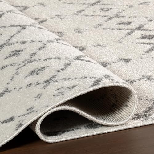 nuLOOM Blythe Grey Trellis Power Loomed Runner Rug, 2' x 8' - color: Blythe Grey, size: 2'8" x 8' (Rectangular)