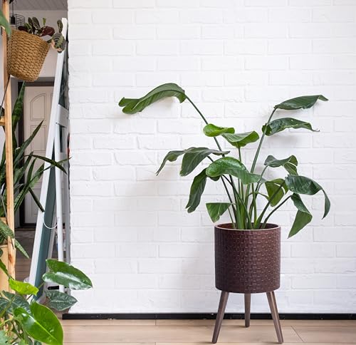 D'vine Dev Planter Pot with Wood Stand, 12 in, Espresso, 88-Z-C-6 | Mid-Century Modern Style, Elevated Plant Display, Drainage Hole and Plug, Functional & Stylish, Modern Indoor Planter - color: Espresso, size: Large