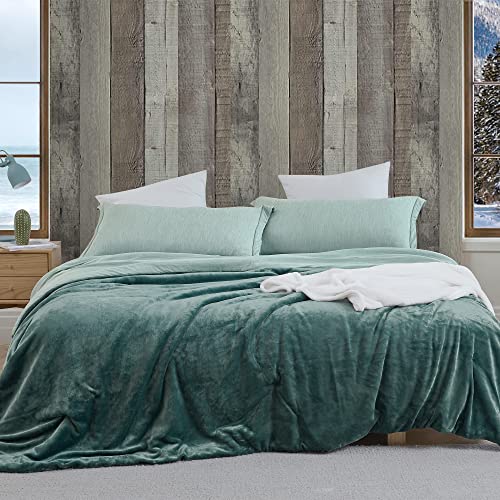 Some Like it Hot - Some Like it Cold Coma Inducer® Oversize Queen Comforter | Refreshing Green. Experience Coma Worthy Sleep with All Season Extra Large Bedding - size: Queen