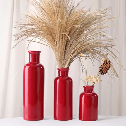 Small Ceramic Vase Set of 3, Boho Modern Flower Vase Room Decor, Farmhouse Decor, Vases for Your Kitchen, Bathroom, Bedroom, Living Room, Office&Shelf Centerpiece Table Decorations, Red - color: Red