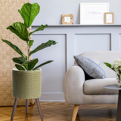 D'vine Dev Planter Pot with Wood Stand, 12 in, Distressed Olive, 88-Z-C-4 | Mid-Century Modern Style, Elevated Plant Display, Drainage Hole and Plug, Functional & Stylish, Modern Indoor Planter - color: Distressed Olive, size: Large