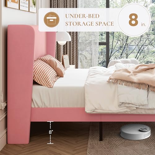 SHA CERLIN King Size Velvet Bed Frame, Tufted Wingback Headboard, Pink | 47'' Modern Vertical Channel Headboard, Upholstered Platform Bed, Wood Slats, No Box Spring Needed, Easy Assembly, Noise Free - color: Pink, size: King