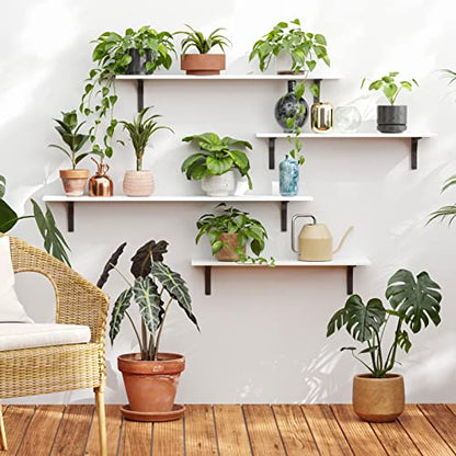 Long Wall Shelves, 31.5Inch Wooden Wall Mounted Shelves, Set of 2 | Floating Book Shelf, Sturdy Metal Bracket Easy Assembly, Max Load 22lbs, Wall Storage Ledges, Bedroom/Bathroom/Kitchen, White - color: White, size: 31.5 Inch