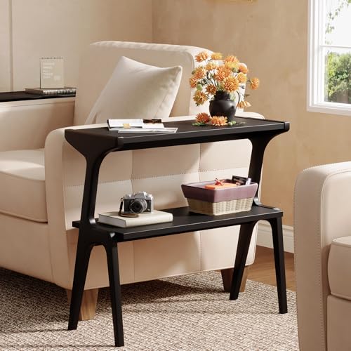 Solid Wood End Table | 2-Tier Side Table with Storage Shelf, Accent Slim Bedside Table for Sofa, Living Room, Bedroom, Small Space, Black - color: Black
