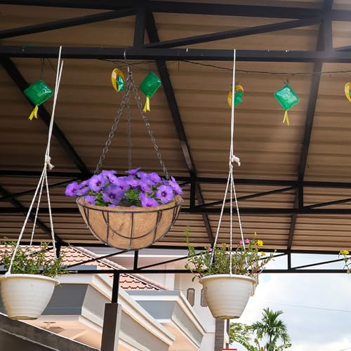 balacoo Outdoor Metal Hanging Planter Basket with Coir Liner, 10-inch Iron Wire Flower Pot for Balcony and Garden, Hanging Plant Container with Chains for Patio and Porch
