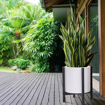 D'vine Dev Plastic Pot with Ebony Wood Stand, White, 14 in, 55-C-T-1 | Mid-Century Inspired Design, Elevated Plant Display, Clean Lines, Sturdy Support, Modern Space-Saving Style - color: Matte White Pot + Ebony Stand, size: 14 Inch