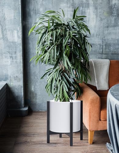 D'vine Dev Plastic Pot with Ebony Wood Stand, White, 14 in, 55-C-T-1 | Mid-Century Inspired Design, Elevated Plant Display, Clean Lines, Sturdy Support, Modern Space-Saving Style - color: Matte White Pot + Ebony Stand, size: 14 Inch