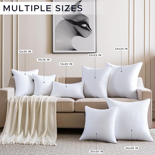 22 x 22 Pillow Inserts Set of 2 Down Alternative Throw Pillow Inserts Large Fluffy Decorative Pillow White Square Pillows Stuffing for Living Room Couch Bed Sofa Interior Cushions - size: 22 X 22 Inches Set of 2