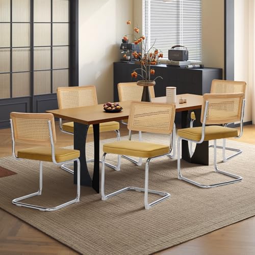 Rattan Dining Chairs Set of 6,Velvet Cesca Chair Kitchen Chair,Gold | VICBARLEY Mid Century Modern Dining Chairs,Wood Cane Backrest&Chrome Base,Upholstered Side Chair for Dining Room,Kitchen - color: Gold, size: Set of 6