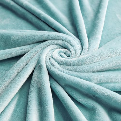 TASTHROW Bluishgreen Throw Blanket 60x80 Inches | Soft Plush Cozy Fleece Flannel Throw Blanket, Lightweight Warm Throws for Bed, Couch, Bedroom and Living Room, All Seasons - color: Bluishgreen, size: 60"x80"