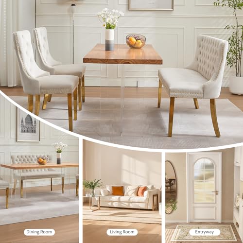 Beige Velvet Dining Bench with Back, Tufted Banquette Seating, Gold Legs | Upholstered loveseat bench; tufted back; nailhead trim; 500 lb capacity; foam and spring seat; dining room or entryway - color: Beige(gold Stainless Steel Legs)
