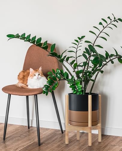 D'vine Dev Ceramic Pot with Natural Wood Stand, Black/Tan, 8 in, 55-B-N-7 | Mid-Century Modern Design, Raised Plant Display, Solid Beech Wood Stand, Premium Craftsmanship, Sophisticated Home Decor - color: Black/Speckled Tan Pot + Natural Stand, size: 8 I