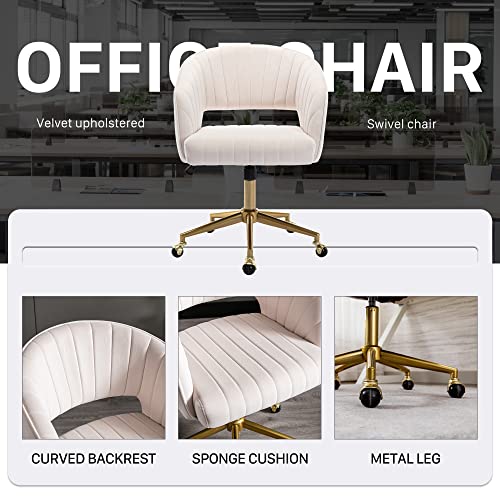 Vanity Chair Velvet Desk Chair with Gold Base for Living Room,Cream | Accent Armchair Upholstered Modern Tufted Chairs for Girls Women Ergonomic Study Seat Computer Task Stools for Bedroom - color: Cream