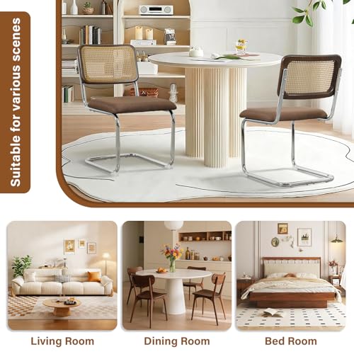 Rattan Dining Chairs Set of 4,Linen Cesca Chair Kitchen Chair,Coffee2 | VICBARLEY Mid Century Modern Dining Chairs,Wood Cane Backrest&Chrome Base,Upholstered Side Chair for Dining Room,Kitchen - color: Coffee2, size: Set of 4