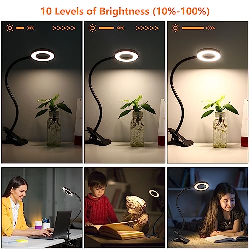 Woputne Desk Lamps Clip on Reading Light for Bed Home Office Craft (Black) | With 5V 2A Adapter, 10 Dimmable Brightness 3 Modes, Flexible Neck Light Desk Lamps for Home Office Headboard - size: Black-1 Piece-Standard-With Adapter