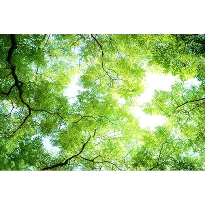 Custom Ceiling Peel and Stick Murals Sky Tree Zenith Wallpaper | Cloud Ceiling Murals Sky Wallpapers, Size Peel and Stick 158" W x 110" H - color: Mural 09, size: 158" x 110"