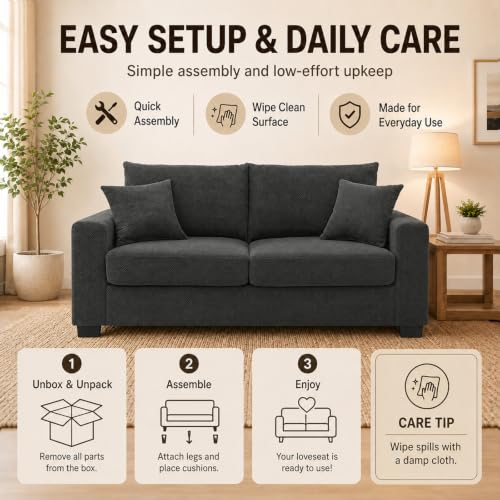 69'' Loveseat Sofa,Modern Fabric 2-Seater Sofa with 2 Pillows(Dark Grey) | Small Couches for Living Room, Office,Apartment, Small Spaces,21 in Deep Seat - color: Dark Grey