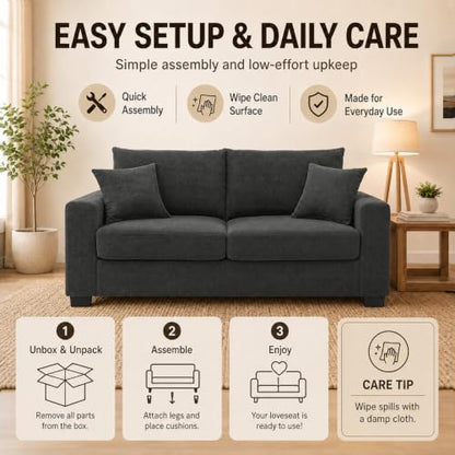 69'' Loveseat Sofa,Modern Fabric 2-Seater Sofa with 2 Pillows(Dark Grey) | Small Couches for Living Room, Office,Apartment, Small Spaces,21 in Deep Seat - color: Dark Grey
