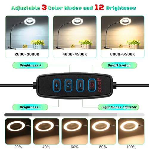 10X Magnifying Glass with Light, Clip on Mganifier with Light, 48 LED Desk Magnifying Glass wtih Clamp, 3 Modes Dimmable Magnifying LED Lamps for Bed Work Crafts DIY Repair Black - color: Black