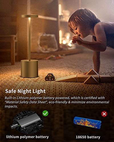 2Pack Cordless Table Lamp, Rechargeable LED Battery 5000mAh Metal USB Portable Powered Desk Lamp, 3 Levels Brightness Light for Restaurants Outdoor (2pack 10.25in Titanium) | Battery 5000mAh Metal USB Portable Powered Desk Lamp, 3 Levels Brightness Light