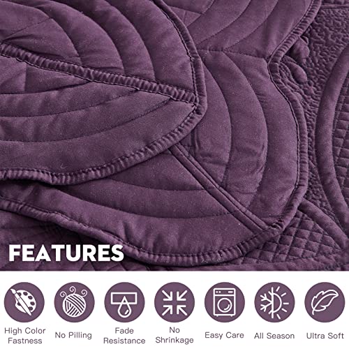 DaisyHuang Bedspread - Full Size Bedding Cover - Modern & Contemporary Coverlet Set, Real Stitching, Reversible, Lightweight, 5 Piece, Purple - color: Plum, size: Full(96"x110")