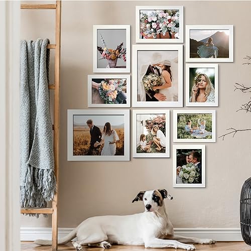 LUCKYLIFE Picture Frame Set 10-Pack, Gallery Wall Frame Collage with 8x10 5x7 4x6 Frames in White Finishes - color: White