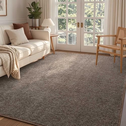 4x6 Brown/White Area Rug Non-Slip Washable Soft for Bedroom Living Room | Soft丨Stays Put丨Low Pile Thin丨Lays Flat丨Kid & Pet Friendly丨Dorm丨Dining Room丨Nursery丨Indoor丨Laundry丨Kids Room丨Carpet丨Home Decor - color: Brown, size: 4' x 6' (Rectangular)