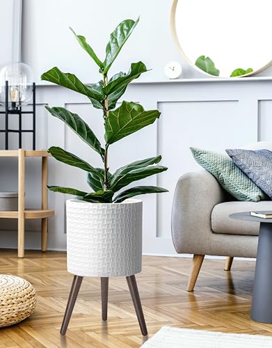 D'vine Dev Planter Pot with Wood Stand, 12 in, Matte White, 88-Z-C-1 | Mid-Century Modern Style, Elevated Plant Display, Drainage Hole and Plug, Functional & Stylish, Modern Indoor Planter - color: Matte White, size: Large