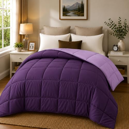 EVOLIVE Microfiber ReversibleComforter Full/Queen (Purple/Lavender) | Soft brushed microfiber with down-alternative fill offers medium-weight warmth, box stitching, and easy machine care - color: Purple/Dusty Lavender, size: Full/Queen