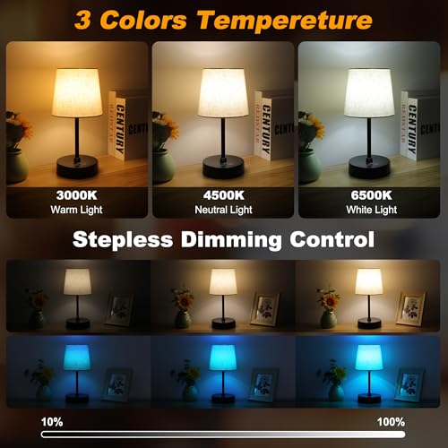 Ascher Small Bedside Table lamp Set of 2, RGB Color Changing Lamps, 3 Color Temperatures, Dimmable Nightstand Lamp with USB C+A Ports, Touch Desk Lamp for Bedroom Living Room, H11.4in(Flaxen Shade) - color: Black Base & Flaxen Shade - 2 Pack, size: 11.4 i