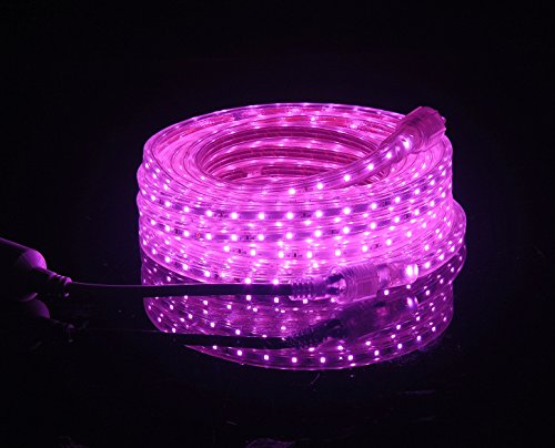 UL Listed, 30 Feet, 3200 Lumen, Pink, Dimmable, 110-120V AC Flexible Flat LED Strip Rope Light, 540 Units 3528 SMD LEDs, Indoor Outdoor Use, Accessories Included, Ready to use - color: Pink