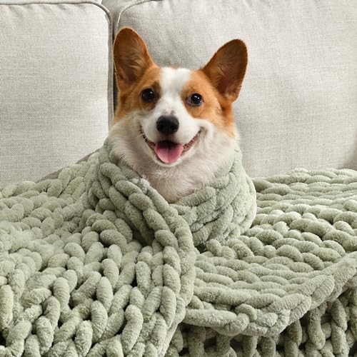 Soft Chunky Knit Blanket, 40X50 Inch Handmade Thick Chenille Yarn Throw Without Shedding & Raveling, Aesthetic & Cozy Home Decor with Couch Sofa Bed, Gift Pack, Sage Green - color: Sage Green, size: 40x50 inches