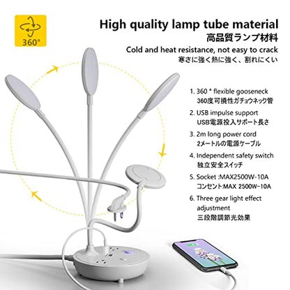 LED Desk Lamp with 2 USB Charging Ports and 2 AC Power Outlets - Adjustable Gooseneck Desk Light with 3 Level Brightness, Eye-Caring Small Table Lamp for Home Office, College Dorm Room Essentials