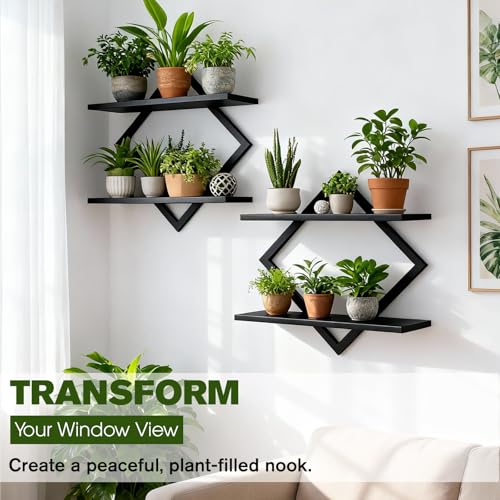 2 Pack Wall Planters for Indoor Plants, Black | 2-Tier Floating Wall Shelves, Wall Mounted Plant Holder Stand, For Bathroom Living Room Bedroom Kitchen Office - color: Black-2pack