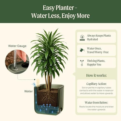 15 Inch Self-Watering Planter for Indoor Plants – Large Modern Plant Pot with Built-In Water Reservoir, Ideal for Monstera, Fiddle Leaf Fig, Palms & Peace Lily, Without Trellis (1, Cream White) - color: Cream White