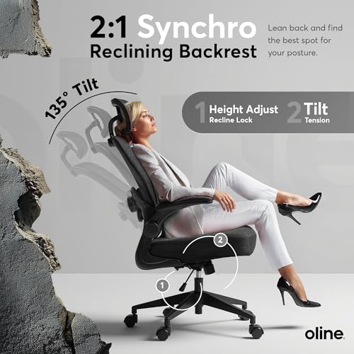 Oline ErgoAir Ergonomic Office Chair – Adjustable Lumbar Support, Flip-Up Armrests, Mesh Computer Desk Chair, Swivel Rolling Executive Gaming Chair for Home & Office (Black) - color: Black