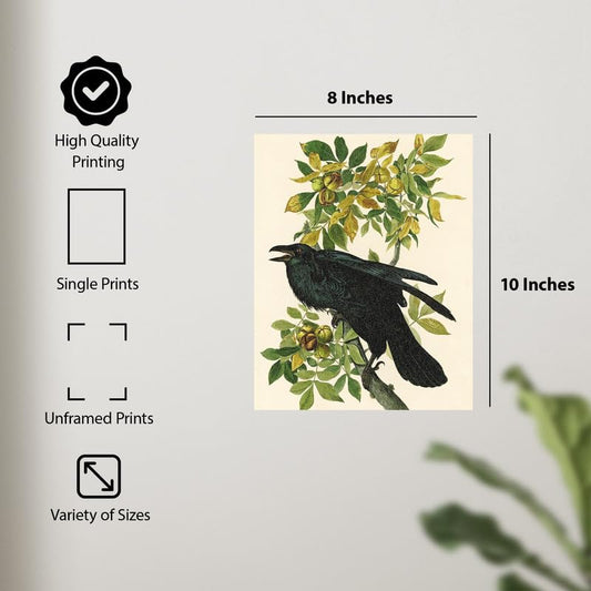ALPINE INK CO. Vintage Black Bird Botanical Poster - Classic Nature Illustration Wall Art - Traditional Wildlife Branch Artwork for Living Room - 8x10 Unframed Print - color: Style-11, size: 8"L x 10"W
