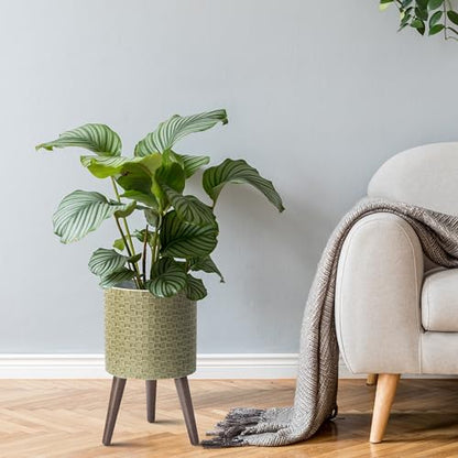 D'vine Dev Planter Pot with Wood Stand, 10 in, Distressed Olive, 88-Z-B-4 | Mid-Century Modern Style, Elevated Plant Display, Drainage Hole and Plug, Functional & Stylish, Modern Indoor Planter - color: Distressed Olive, size: Medium