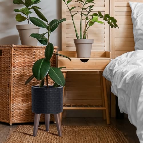 D'vine Dev Planter Pot with Wood Stand, 8 in, Matte Black, 88-Z-A-2 | Mid-Century Modern Style, Elevated Plant Display, Drainage Hole and Plug, Functional & Stylish, Modern Indoor Planter - color: Matte Black, size: Small