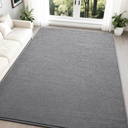 Nuttumico Large Modern Area Rugs for Bedroom Living Room, 5x7 Feet Grey Rug, Thickened Memory-Foam Indoor Carpets, Minimalist Rug for Boys Girls, Soft, Non-Slip and Machine-Washable - color: Grey, size: 5' X 7' (Rectangular)