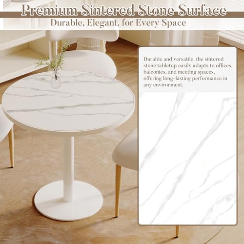 31.5'' Tulip Table, Round Dining Table with Matte Sintered Stone Tabletop | White Aluminum Alloy Edge & Pedestal, Small Bistro Table for Dining Room/Café/Small Spaces/Restaurant (Snow Peak Marble) - color: Snow Peak Marble (White Edge), size: Round