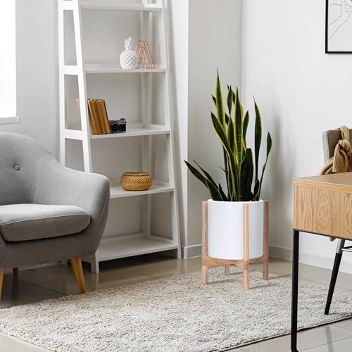 D'vine Dev Plastic Pot with Natural Wood Stand, White, 12 in, 55-C-P-1 | Mid-Century Inspired Design, Elevated Plant Display, Clean Lines, Sturdy Support, Modern Space-Saving Style - color: Matte White Pot + Natural Stand, size: 12 Inch