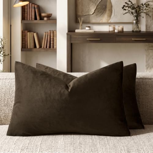 GIGIZAZA Brown Velvet Pillow Covers 12x20 Decorative Pillows Pack of 2 | Lumbar Throw Pillows for Couch Sofa,280gsm Soft Textured Fabric,Modern Pillowcases,Luxury Cushion Covers - color: Brown, size: 20" x 12" (Pack of 2)