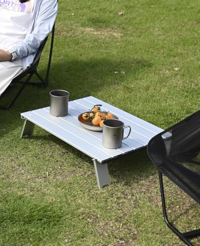 Ultralight Compact Mini Beach Picnic Folding Table with Carry Bag | with Carry Bag, for Camping Backpacking Hiking Beach Picnic - color: Silver, size: Large