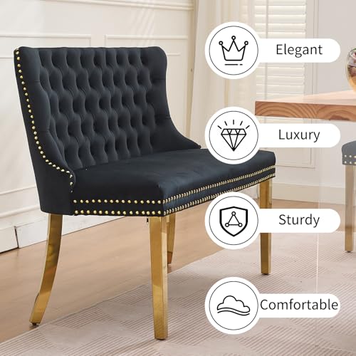 Black Velvet Dining Bench with Back, Tufted Banquette Seating, Gold Legs | Upholstered loveseat bench; tufted back; nailhead trim; 500 lb capacity; foam and spring seat; dining room or entryway - color: Black(gold Stainless Steel Legs)