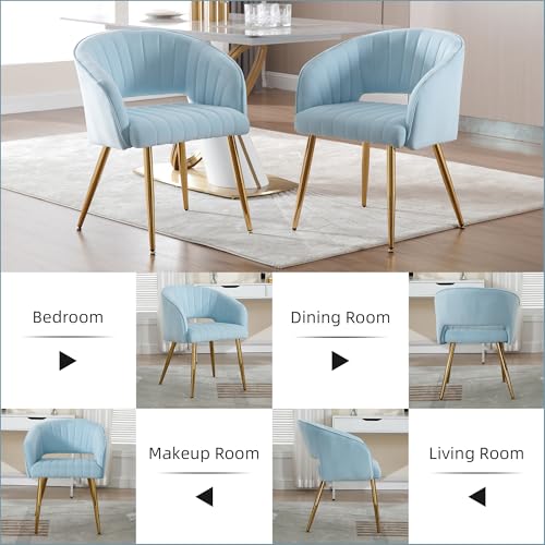 Velvet Home Office Desk Vanity Chair, No Wheels, Gold Legs, Light Blue | Modern Accent Chair with Stylish Stripe Design, Spacious‌ Soft Seat for Girls & Women Bedroom Makeup or Nail Table - color: Blue Velvet, No Wheels
